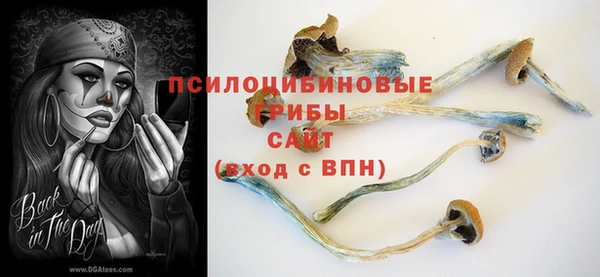 твердый Россошь