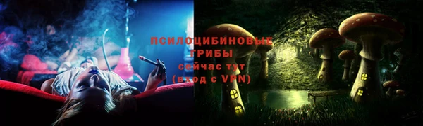 твердый Россошь