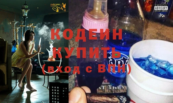 прущие грибы Мурманск