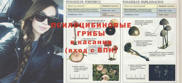 твердый Россошь